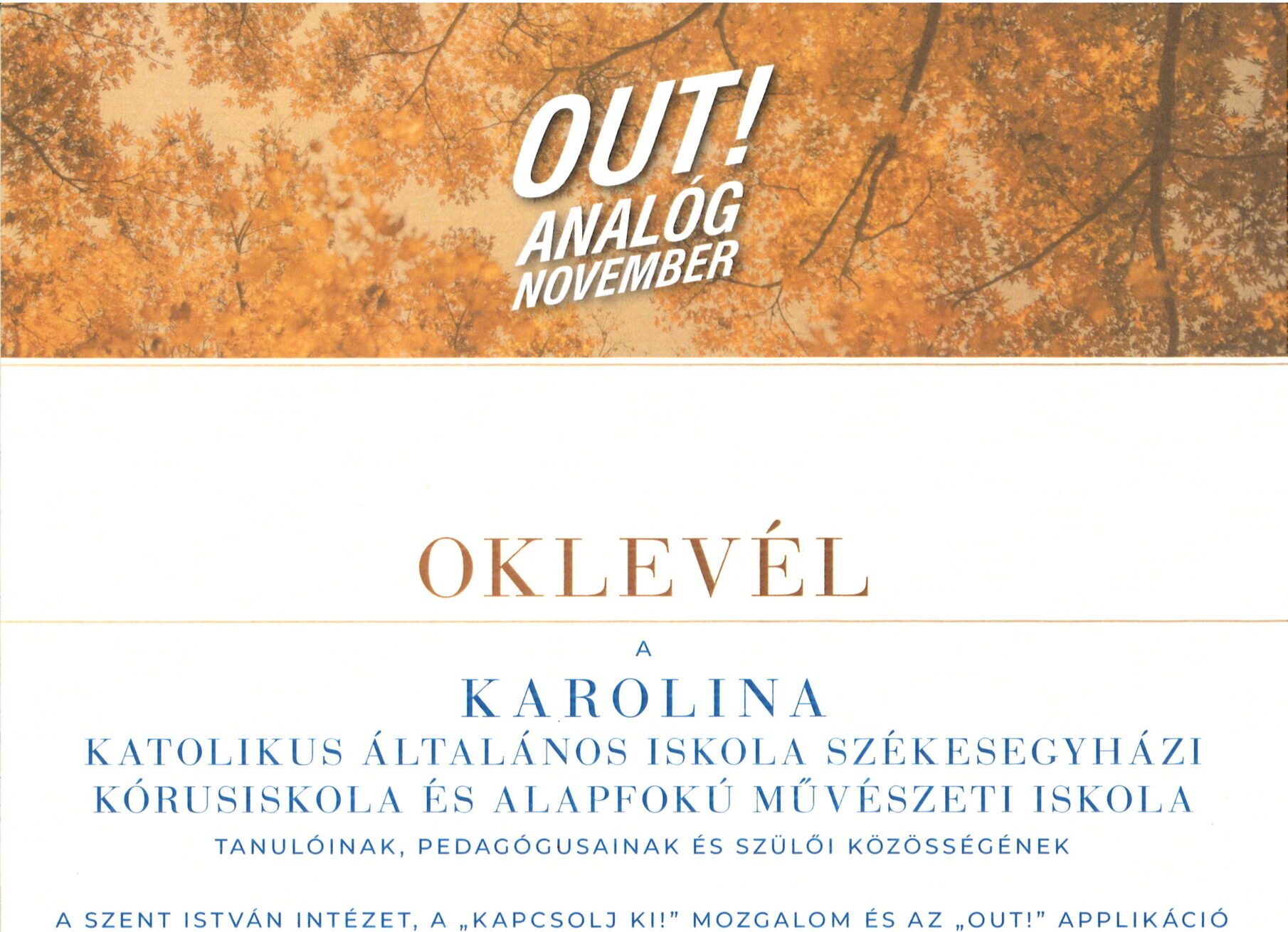 Sikeres részvétel az „Analóg november” programban